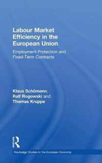 Labour Market Efficiency in the European Union