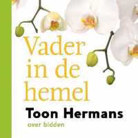 Vader in de hemel