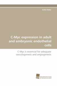 C-Myc Expression in Adult and Embryonic Endothelial Cells