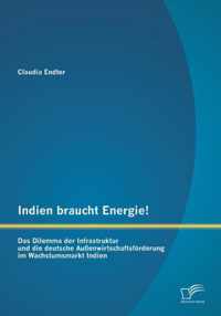 Indien braucht Energie! Das Dilemma der Infrastruktur und die deutsche Aussenwirtschaftsfoerderung im Wachstumsmarkt Indien