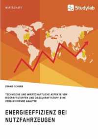 Energieeffizienz bei Nutzfahrzeugen. Technischer und wirtschaftlicher Aspekte von Biokraftstoffen und Dieselkraftstoff