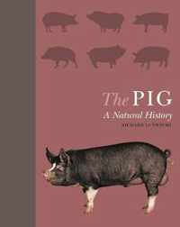 The Pig