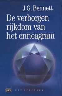 Vantoen.nu  -   Verborgen rijkdom van het enneagram