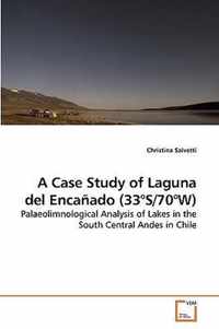 A Case Study of Laguna del Encanado (33 DegreesS/70 DegreesW)