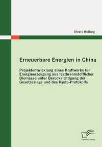 Erneuerbare Energien in China: Projektentwicklung eines Kraftwerks für Energieerzeugung aus festbrennstofflicher Biomasse unter Berücksichtigung der