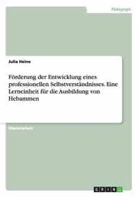 Foerderung der Entwicklung eines professionellen Selbstverstandnisses. Eine Lerneinheit fur die Ausbildung von Hebammen