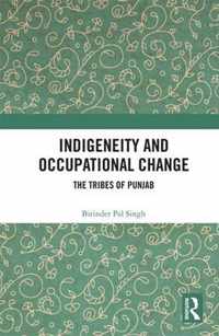 Indigeneity and Occupational Change: The Tribes of Punjab