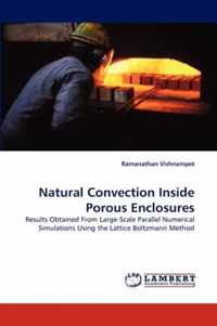 Natural Convection Inside Porous Enclosures