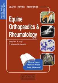 Equine Orthopaedics and Rheumatology