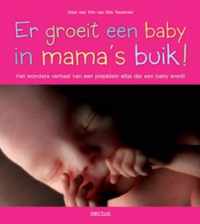 Er groeit een baby in mamas buik