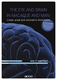 The eye and brain in macaque and man