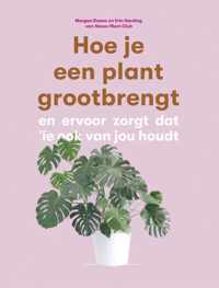 Hoe je een plant grootbrengt