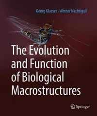 The Evolution and Function of Biological Macrostructures