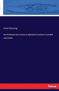 Das Anschliessen einer Function an algebraische Functionen in unendlich vielen Stellen