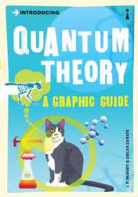 Introducing Quantum Theory