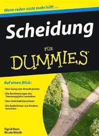 Scheidung fur Dummies