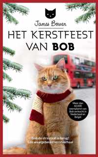 Het kerstfeest van Bob