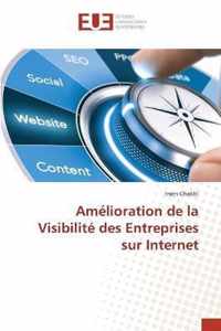 Amelioration de la Visibilite des Entreprises sur Internet