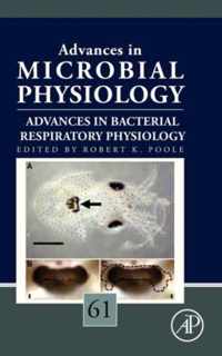 Advances in Bacterial Respiratory Physiology