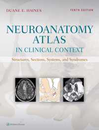 Neuroanatomy Atlas in Clinical Context