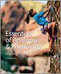 Essentials of Anatomy and Physiology