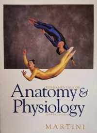 Anatomy & Physiology