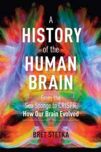 A History of the Human Brain: From the Sea Sponge to Crispr, How Our Brain Evolved