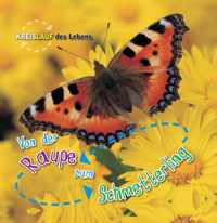Von der Raupe zum Schmetterling