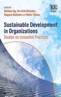 Sustainable Development in Organizations