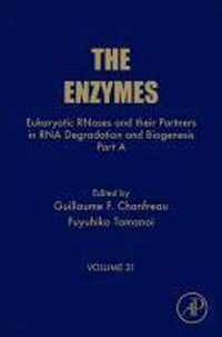 Eukaryotic Rnases And Their Partners In Rna Degradation And