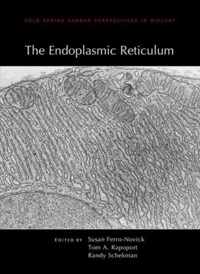 Endoplasmic Reticulum