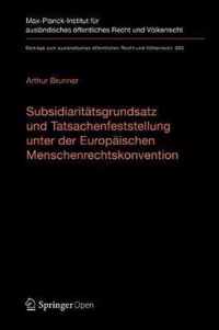 Subsidiaritaetsgrundsatz und Tatsachenfeststellung unter der Europaeischen Mensc