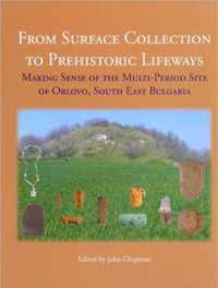 From Surface Collection to Prehistoric Lifeways