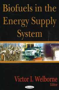 Biofuels in the Energy Supply System