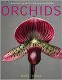 Orchids