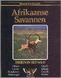 Afrikaanse savannen