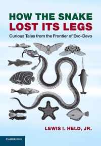 How The Snake Lost its Legs