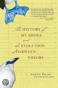 The History of My Shoes and the Evolution of Darwin's Theory