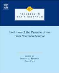 Evolution Of The Primate Brain