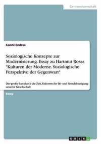 Soziologische Konzepte zur Modernisierung. Essay zu Hartmut Rosas Kulturen der Moderne. Soziologische Perspektive der Gegenwart