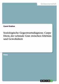 Soziologische Gegenwartsdiagnose. Carpe Diem, der schmale Grat zwischen Erlebnis und Gewohnheit