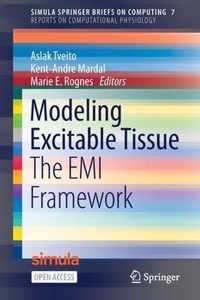 Modeling Excitable Tissue