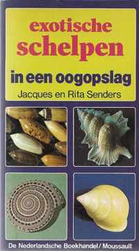 Exotische schelpen in een oogopslag