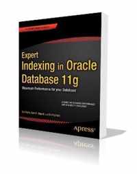 Expert Indexing in Oracle Database 11g