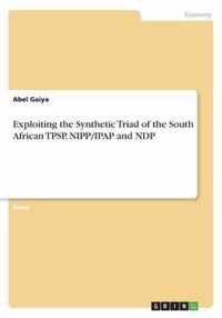 Exploiting the Synthetic Triad of the South African TPSP, NIPP/IPAP and NDP