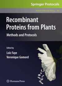 Recombinant Proteins from Plants