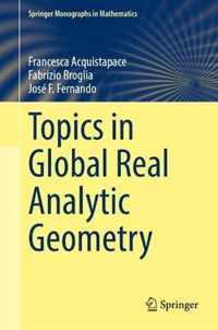 Topics in Global Real Analytic Geometry