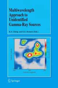 Multiwavelength Approach to Unidentified Gamma-Ray Sources