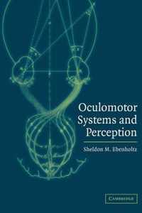 Oculomotor Systems and Perception