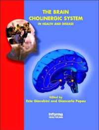 The Brain Cholinergic System